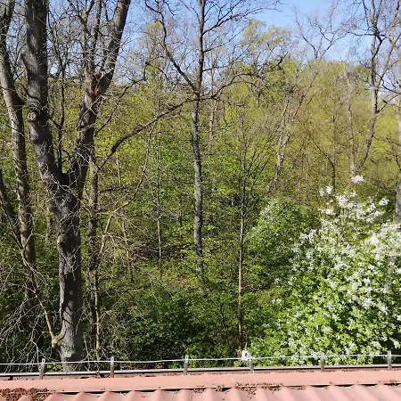 Apartament 302 Kiky Daire *